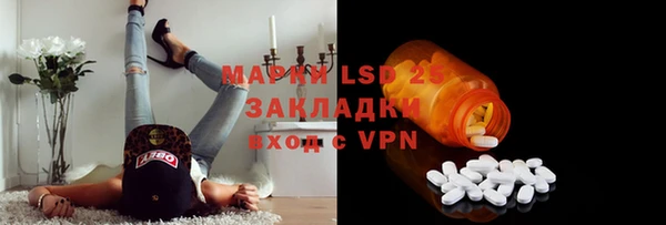 индика Абинск