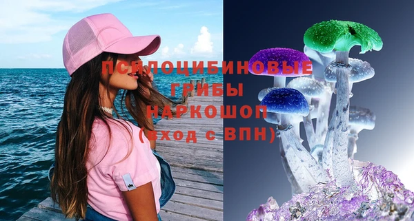 ECSTASY Слюдянка