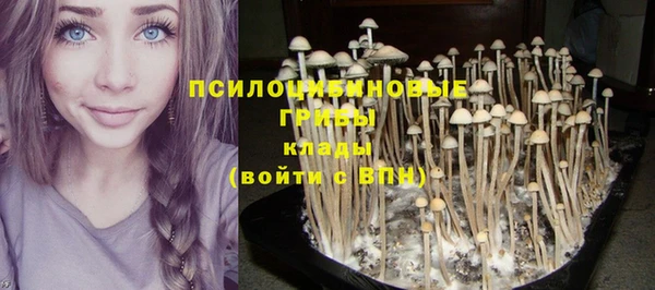 а пвп мука Снежинск