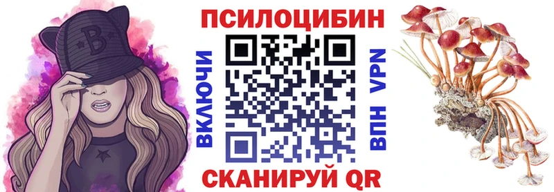 закладка  Анадырь  Галлюциногенные грибы Magic Shrooms 